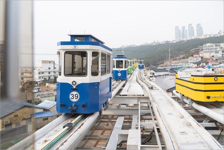 부산 해운대 블루라인파크 스카이캡슐 해변열차 예약 할인