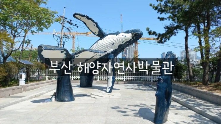 부산 아이와 함께 가볼만한곳 / 동래 데이트 ::  부산해양자연사박물관