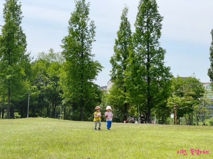 [천안 가볼 만한 곳] 주말... 다녀온 '천안 종합 휴양관광지' 공원...