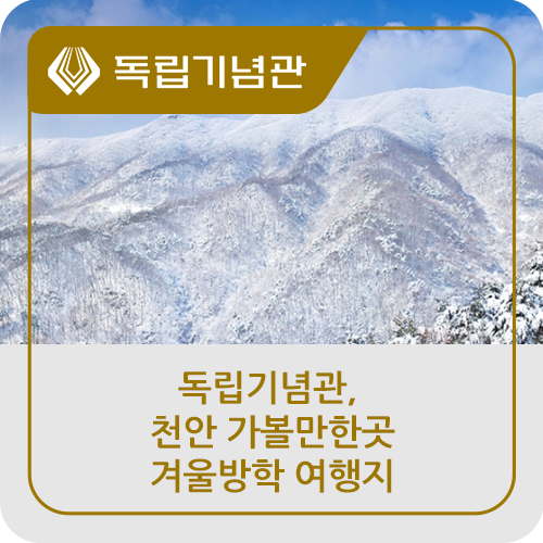 [천안 겨울여행] 광덕산설경, 광덕사, 천안종합휴양관광지