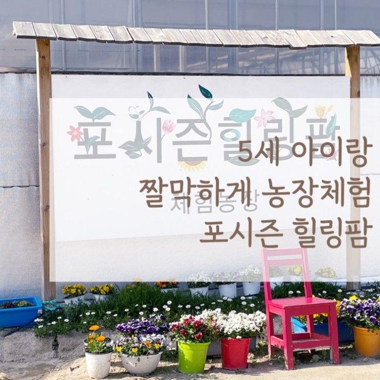 5세 아이랑 짤막하게 농장체험 포시즌 힐링팜