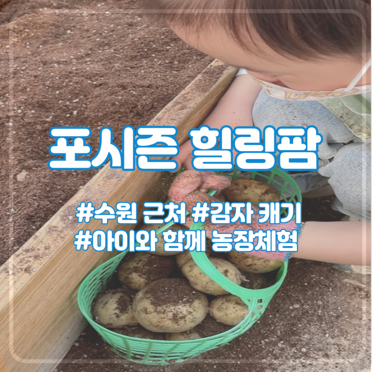 [여행] 수원 아이 농장체험 : 포시즌힐링팜