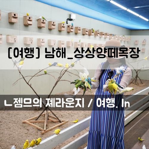 <경상도 여행> 남해 상상양떼목장 편백숲