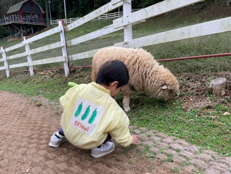 아이와 함께 남해여행, 상상양떼목장 편백숲