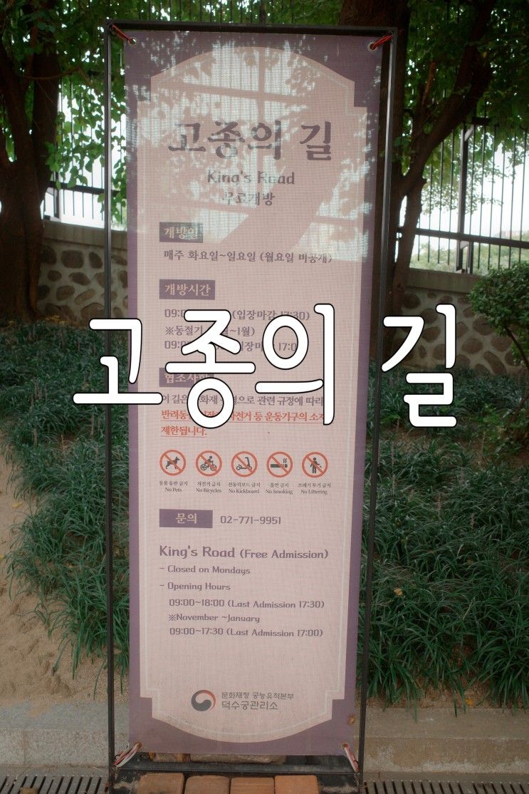 고종의 길/ 정동길 산책과 덕수궁돌담길 길거리마술(매소)