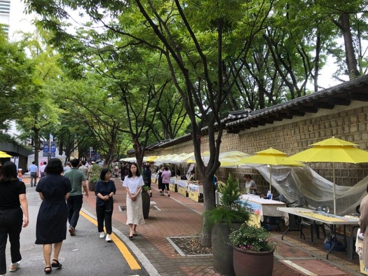 가을을 맞이하는 덕수궁 돌담길