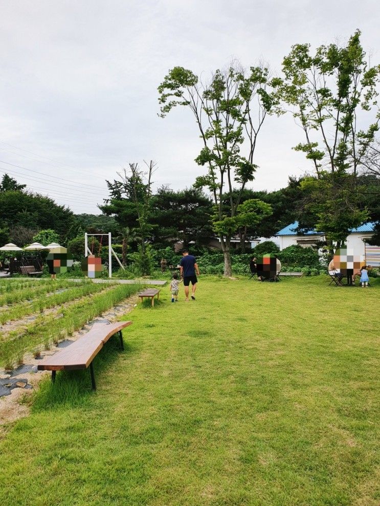 고양. 22개월아이와 다녀온 피크닉 카페 노만주의.