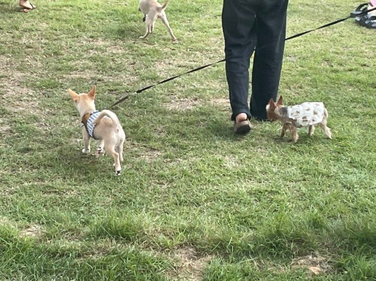 고양시 일산 아이와 가볼만한곳 노만주의 카페