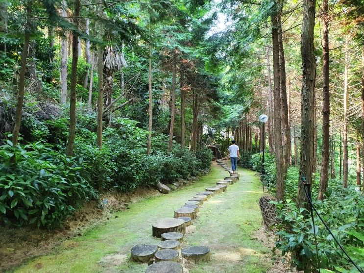 통영 편백나무숲속 나폴리농원 :: 맨발걷기 힐링체험 여행코스, 예약필수!