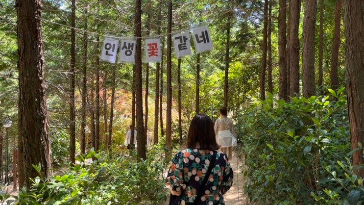 [통영]나폴리농원 맨발로 숲을 걸을 수 있는 여행지 추천, 자연과 어울리기