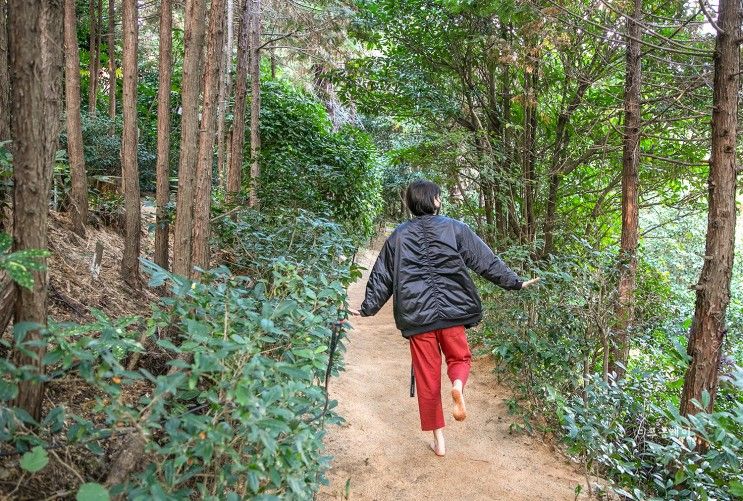 경남 웰니스관광 통영 여행 나폴리농원 편백나무숲 맨발체험