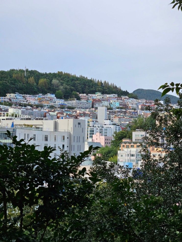 부산여행 부산근현대역사관, 용두산공원, 부산타워