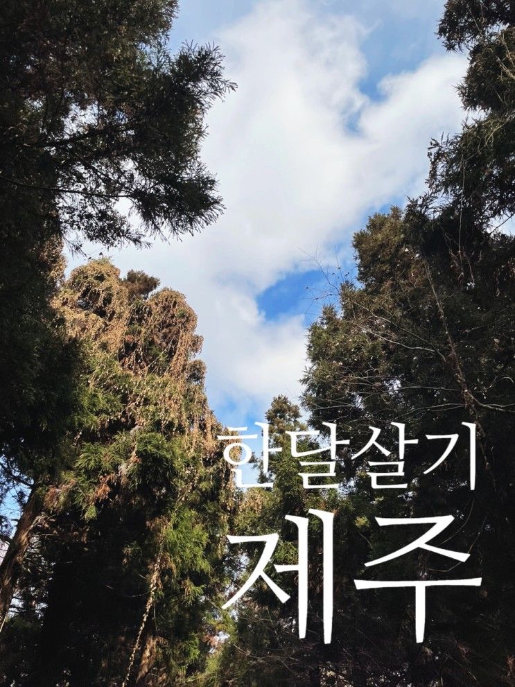 (여행) 제주 금오름/ 금오름... 살기/ 제주도 아이랑 한 달...