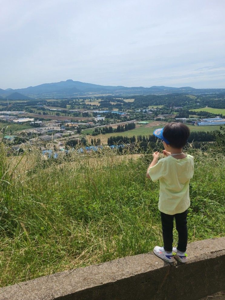 아이랑 오르기쉬운 오름 - 제주 금오름