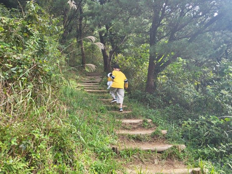 제주도 서쪽 오름 추천 금오름 - 아이랑 가기 좋아요