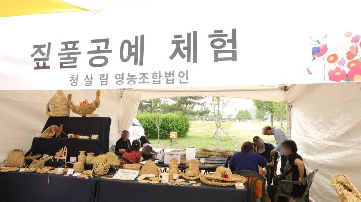 가평 자라섬 꽃축제에서 아이들이 얻어 갈 수 있는 3가지...