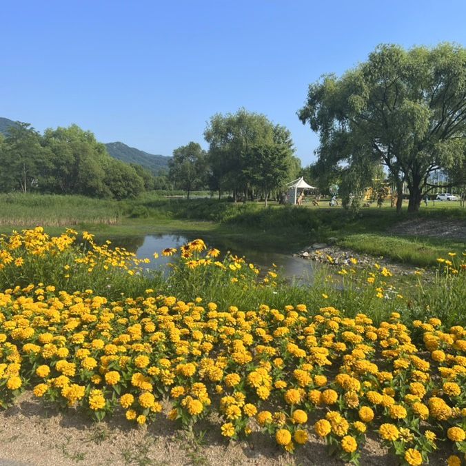 아이와 가평여행  Day 1. 자라섬공원