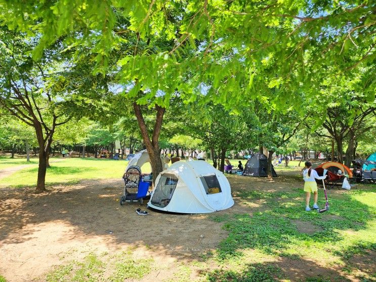 인천 부평공원 텐트 피크닉 장소 아이랑 갈만한곳