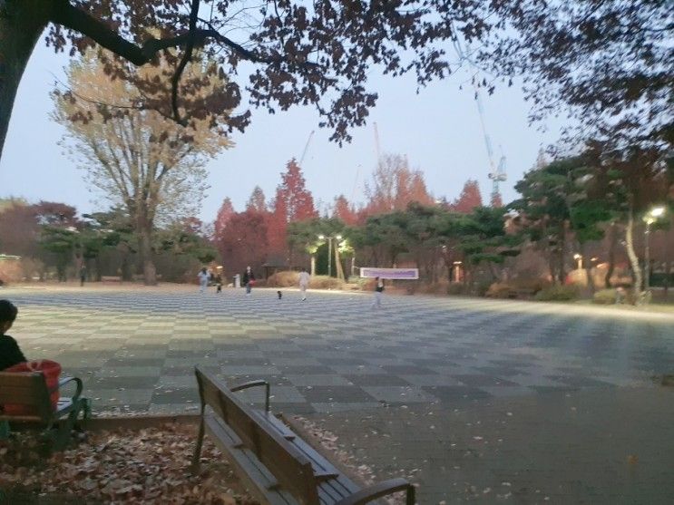 부평공원 나무가 많고 가볍게 산책하기 좋은 인천 공원