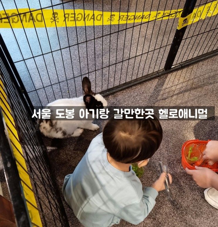 서울 도봉 아기랑 갈만한곳 실내동물원 헬로애니멀