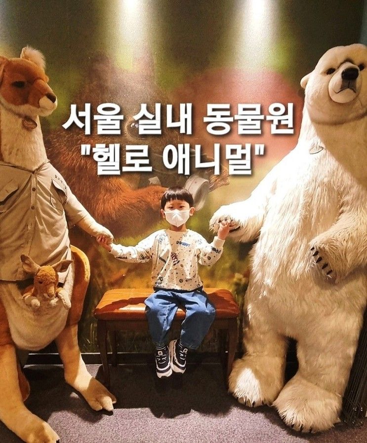 [헬로애니멀]서울 실내동물원추천/도봉구아이와가볼만한곳...