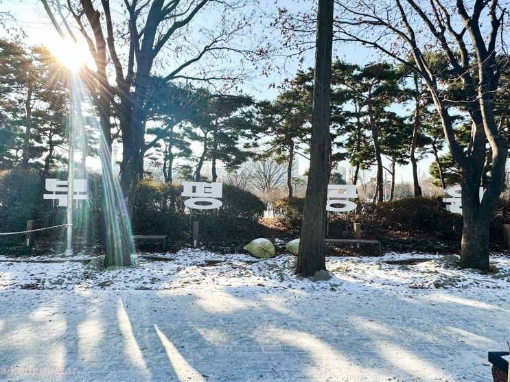 인천 주말 아이들 가볼만한곳 부평공원 공방거리 이색체험