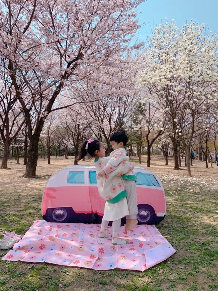 인천 부평공원 벚꽃 꽃놀이 아기랑갈만한곳