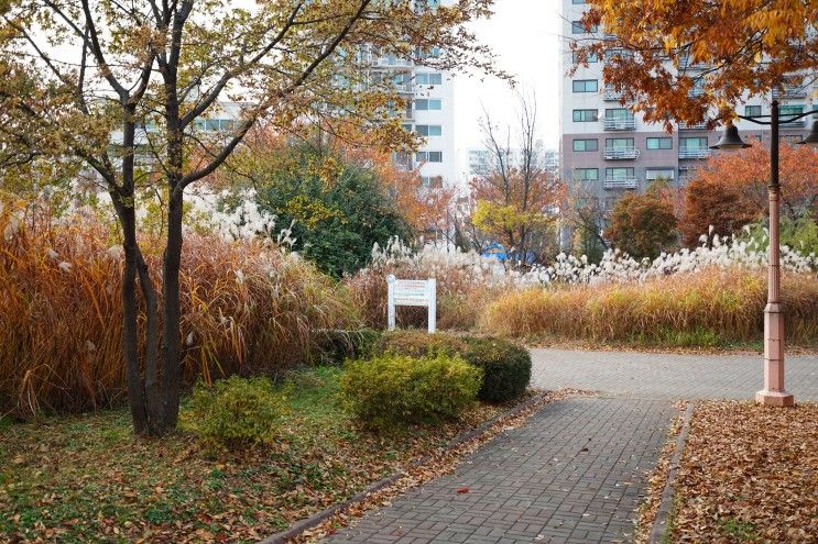 가을 단풍이 매력적인 인천 부평공원 산책~