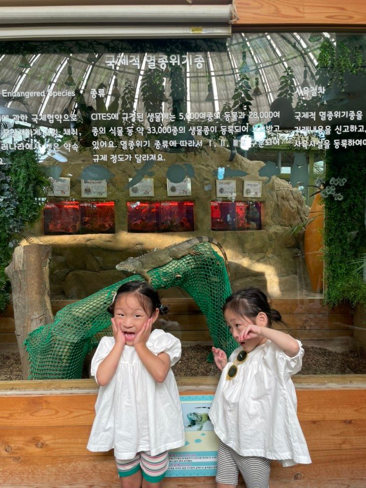 부산 근교 경남 의령곤충생태학습관 4세 아기랑