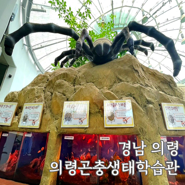 의령 곤충생태학습관 실내체험 경남 아이와 가볼만한곳