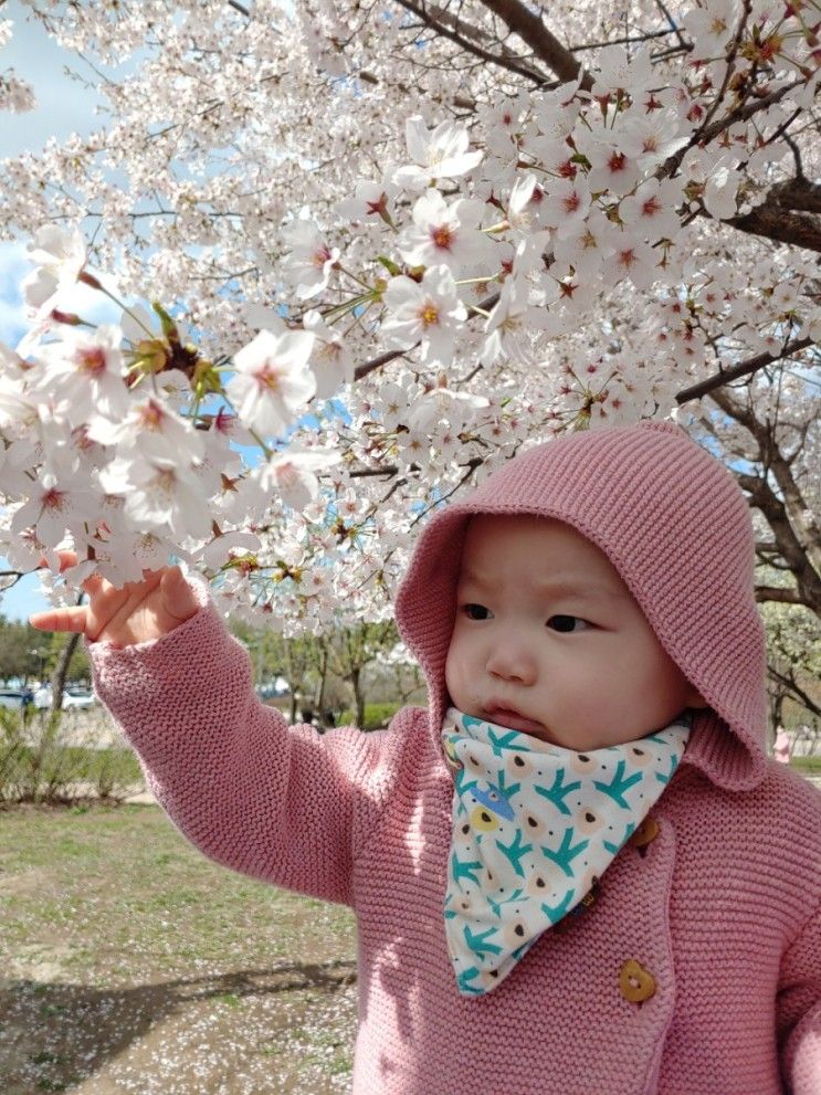 부평공원 꽃구경 나들이