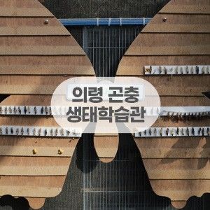 경남 아이랑 가볼만한곳 의령곤충생태학습관(입장료/먹이체험)