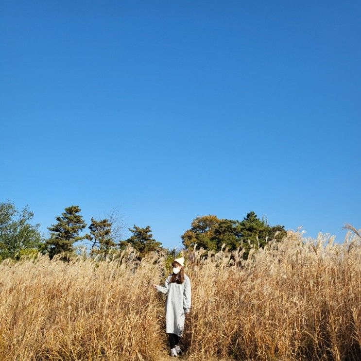 221106 경산 가볼만한곳 : 경산 갈대숲 자연마당 (경산공원...