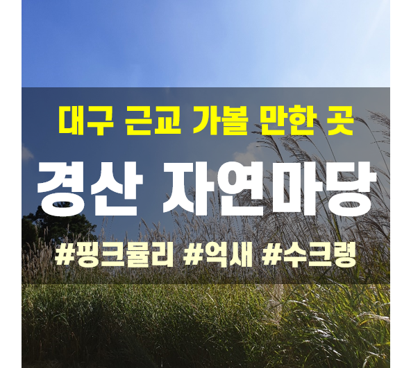 [대구 근교 가볼 만한 곳] 경산 자연마당, 가을의 아름다움을...