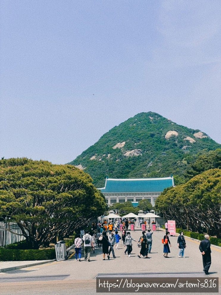 【서울/종로】 청와대 국민 개방 / 5살 아이와 청와대 나들이 / 셔틀 팁