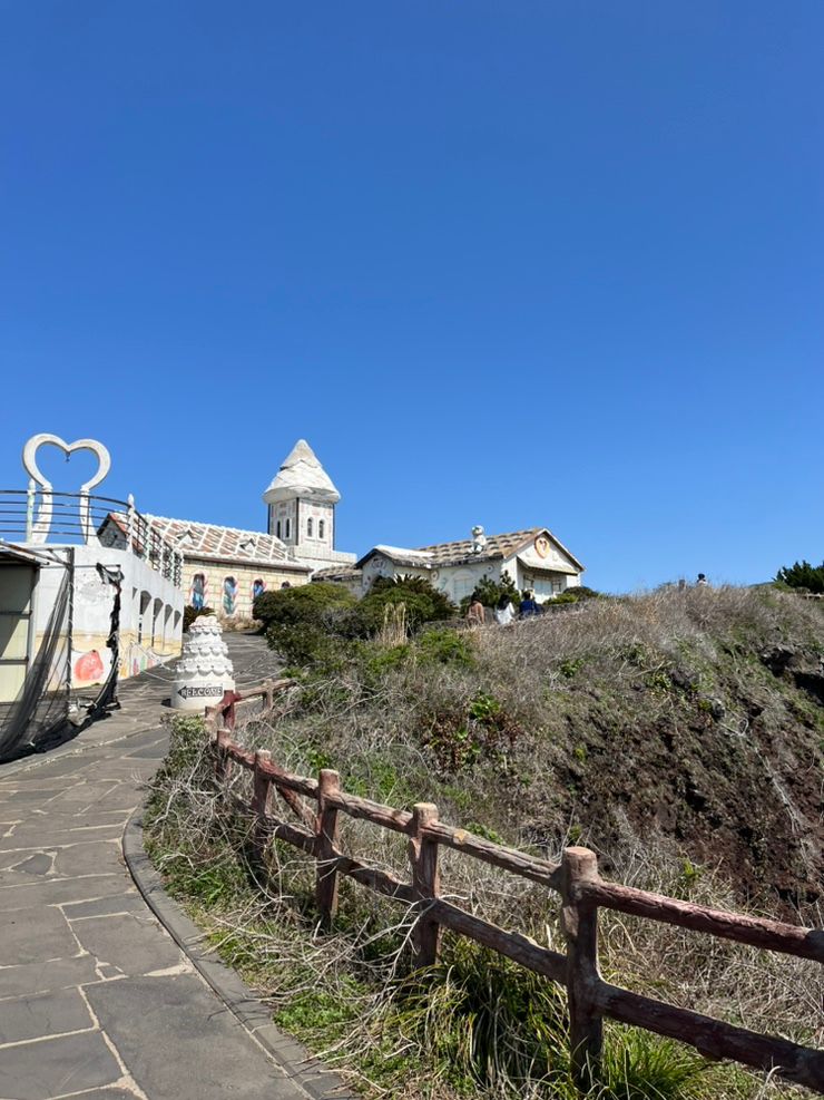 급하게 떠난 제주여행 광치기해변에서 유채꽃 보고 섭지코지도...