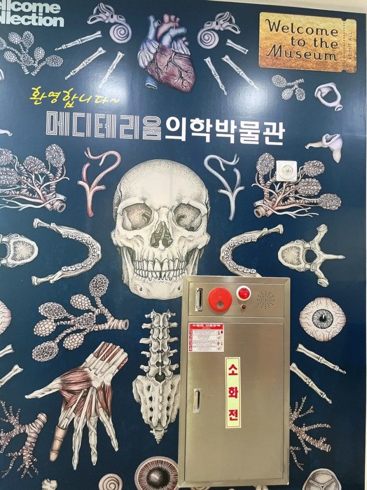 파주체험, 의학박물관  메디테리움, 소리내어 읽기 23일차