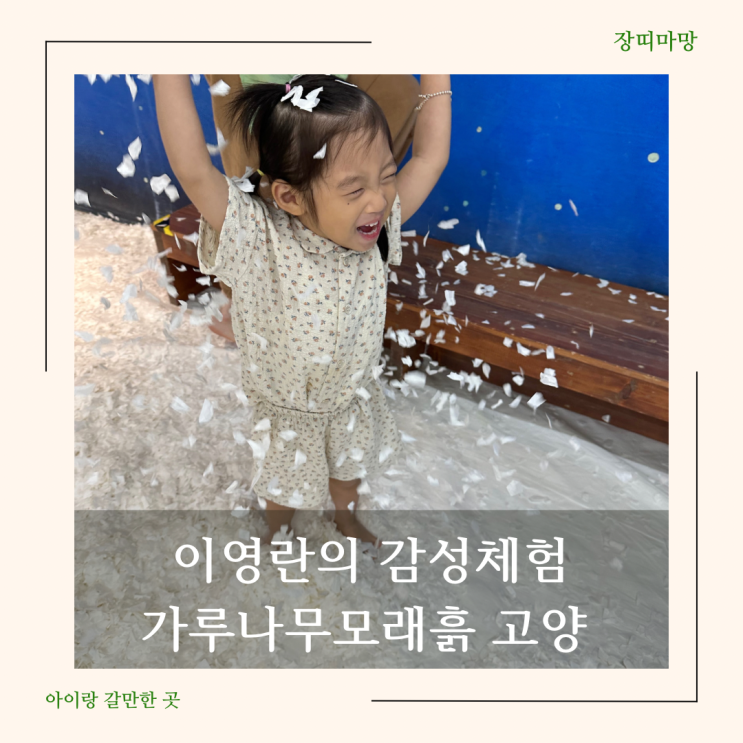 이영란의 감성체험 가루나무모래흙 고양 상세후기, 준비물 팁...