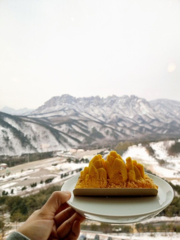 속초 울산바위뷰 카페 고성 소노펠리체 델피노 더엠브로시아...