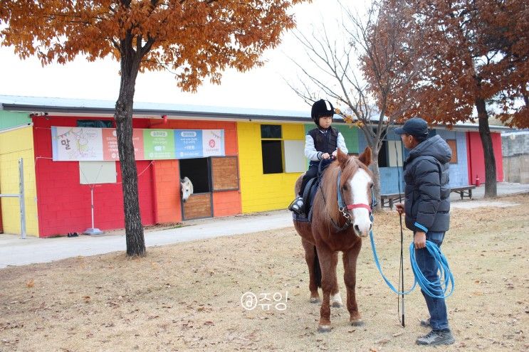 전주 아이와 가볼만한곳 추천 김제 소프라승마클럽 승마체험