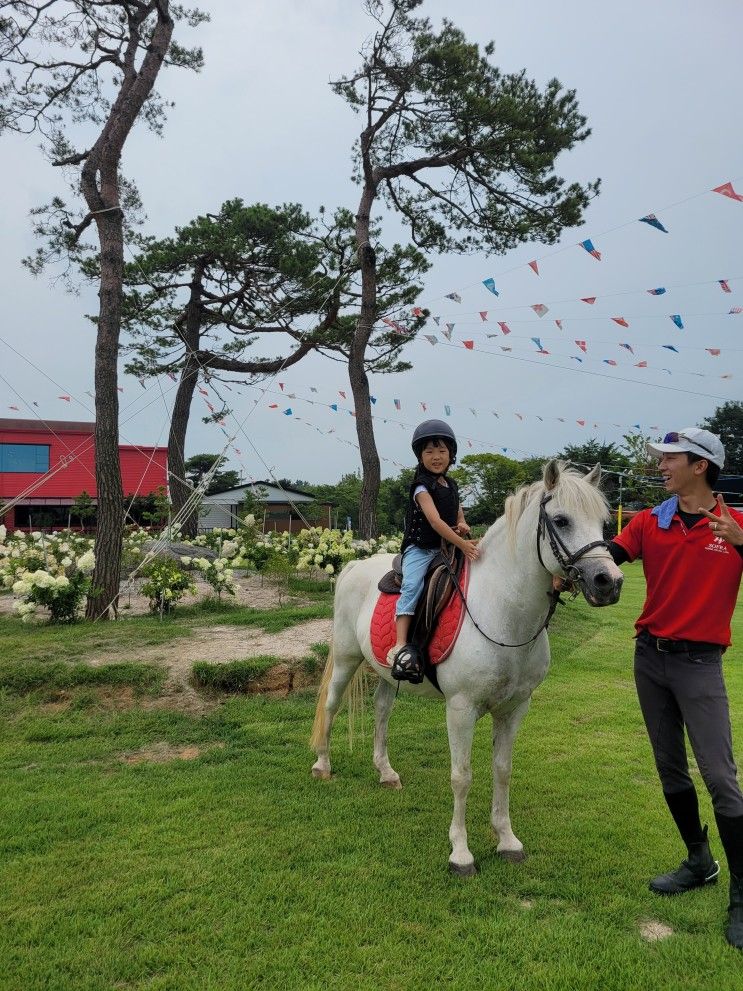 전주 근교 아이와 승마체험, 김제 소프라 카페 w.무료 물놀이장