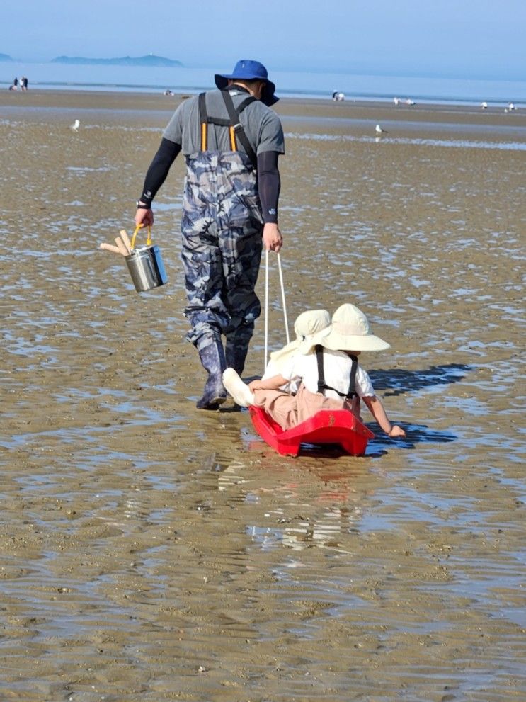 태안 몽산포해수욕장에서 갯벌체험하고 왔어요 꿀 잼