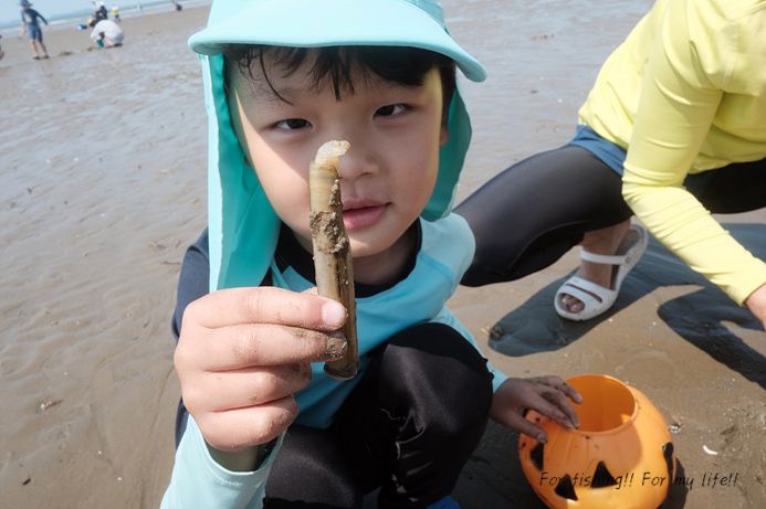 태안 갯벌체험 몽산포해수욕장 맛조개 잡기