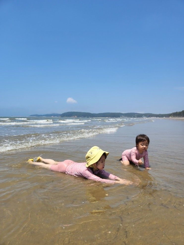 6월 태안 몽산포 해수욕장 7세, 21개월 아이와 해루질(물때...