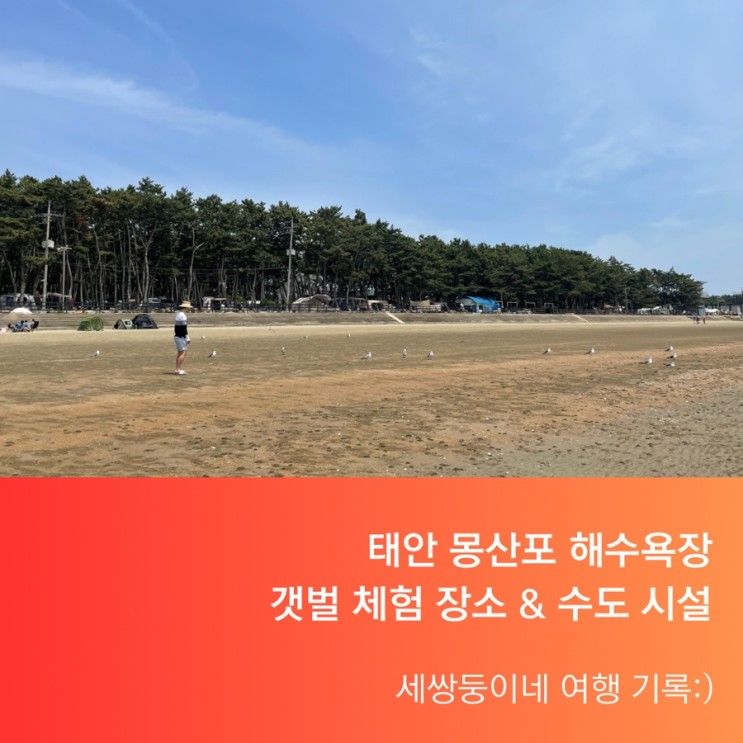 몽산포 해수욕장 갯벌체험 (체험 장소 & 수도 시설 정보)