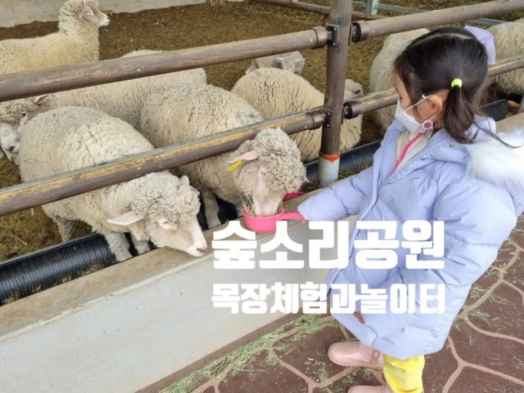 거제 숲소리공원 아이와 가볼만한곳