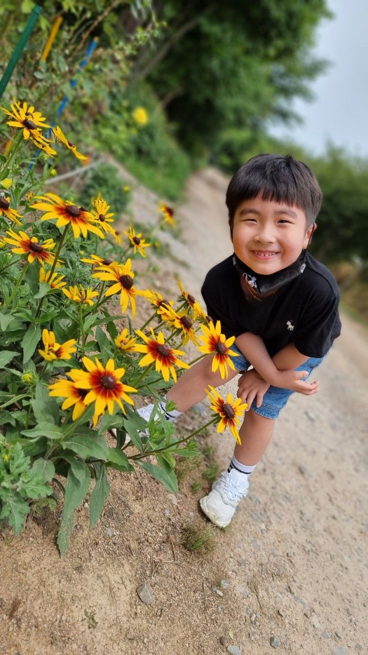 당진 예산 아이와 함께 가볼만한곳  아그로랜드 태신목장