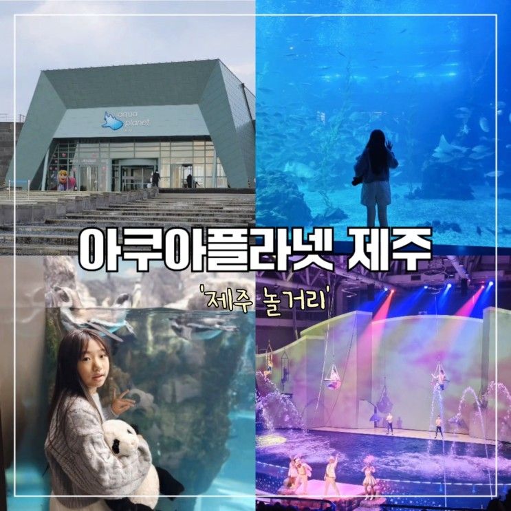 놀거리 서귀포 성산 아쿠아플라넷 제주 오션 아레나 개편 공연 중