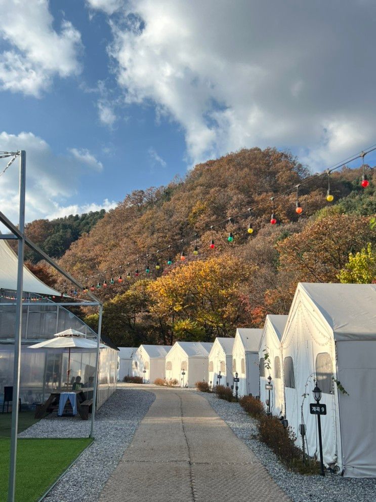 가평 글램핑 추천 핀란드캠핑성 계곡 글램핑