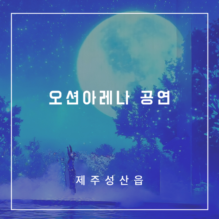 아쿠아플라넷제주 속 공연관람 #동물공연 #오션아레나 공연